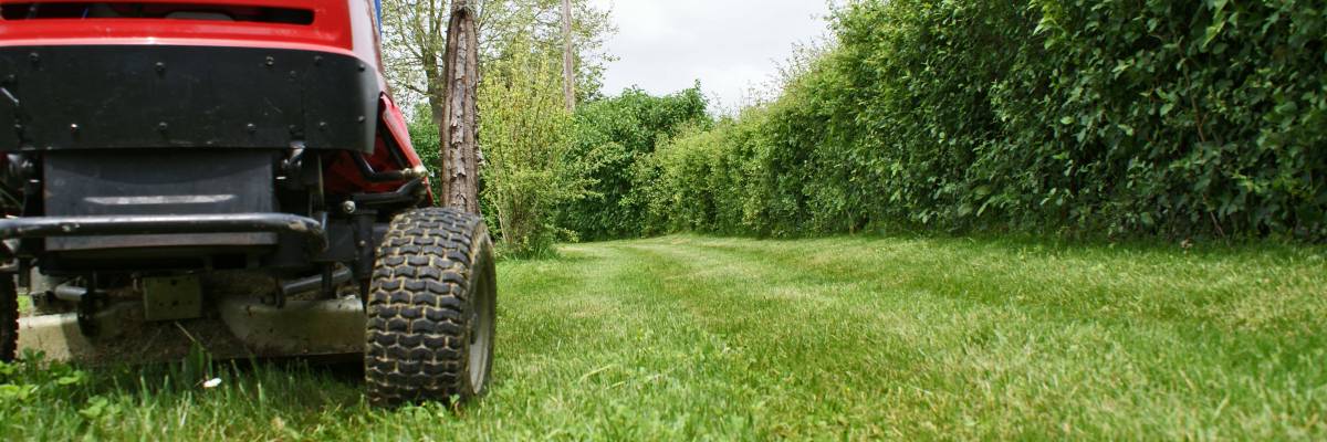 Pourquoi choisir une tondeuse autoportée pour entretenir son espace vert ? Ostwald