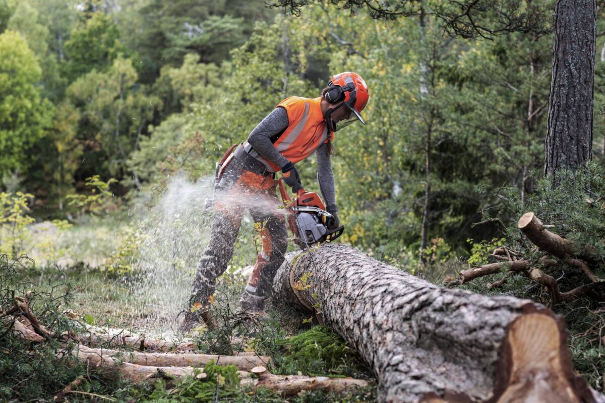 Tronçonneuse 550XP Mark II Husqvarna Molsheim 0